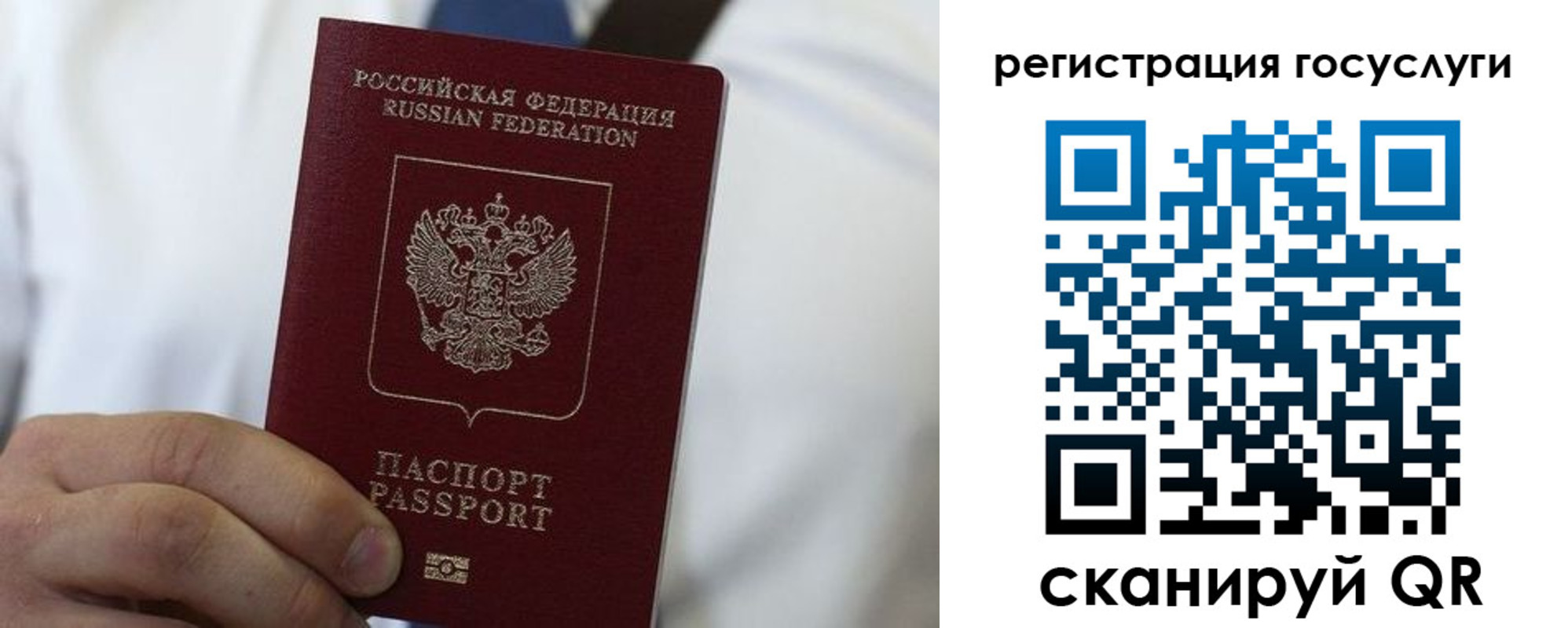 прописка в Тосно